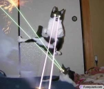 funny-picture-4852