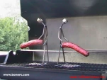 funny-picture-2955