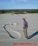 funny-picture-3565