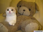 funny-picture-5243