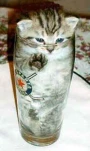 funny-picture-3505