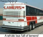 funny-picture-1197