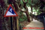 funny-picture-861