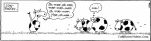 funny-picture-2095