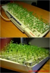 funny-picture-3842
