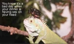 funny-picture-2771