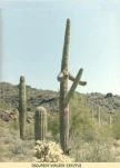 187