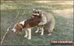 funny-picture-3156