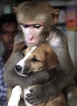 funny-picture-3324