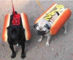 funny-picture-3196