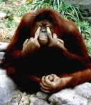 funny-picture-1694