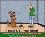 funny-picture-2320