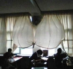 funny-picture-5085
