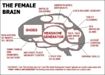 funny-picture-2755