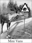 funny-picture-2453