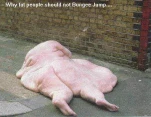 funny-picture-1328