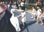 funny-picture-753