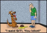 sitnotshit