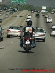 funny-picture-4275