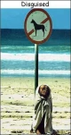 funny-picture-422