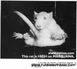 funny-picture-2329