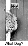 funny-picture-3017