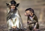 funny-picture-1822