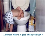 funny-picture-4987