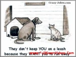 funny-picture-4472