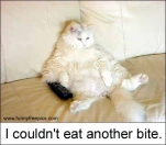 funny-picture-3722