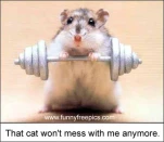 funny-picture-1945