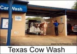 funny-picture-4522