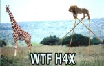 funny-picture-2881