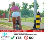 funny-picture-4029
