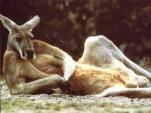 funny-picture-2980
