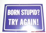 funny-picture-1849