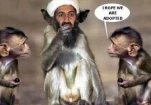 funny-picture-3975