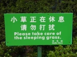 funny-picture-2778