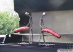 funny-picture-2273