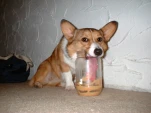 funny-picture-1281