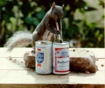 funny-picture-3964