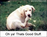 funny-picture-397