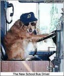 funny-picture-4402