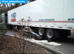 funny-picture-1746
