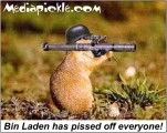 funny-picture-1139