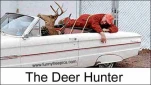 funny-picture-832