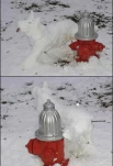 funny-picture-4800
