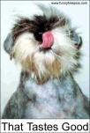 funny-picture-3799