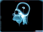 funny-picture-4896