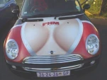 funny-picture-1240